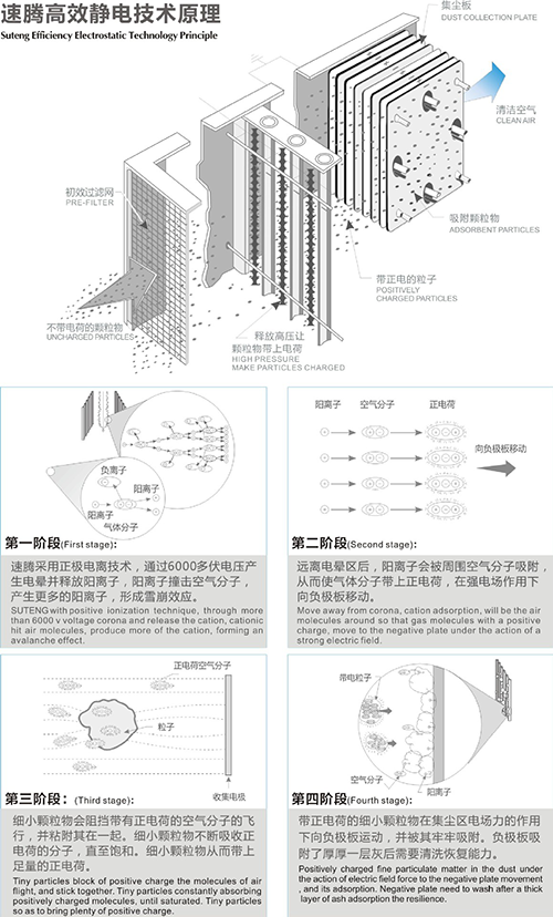 靜電91视频麻豆视频